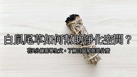Harnessing the Purifying Energy of White Sage: A Guide to Cleansing Your Space