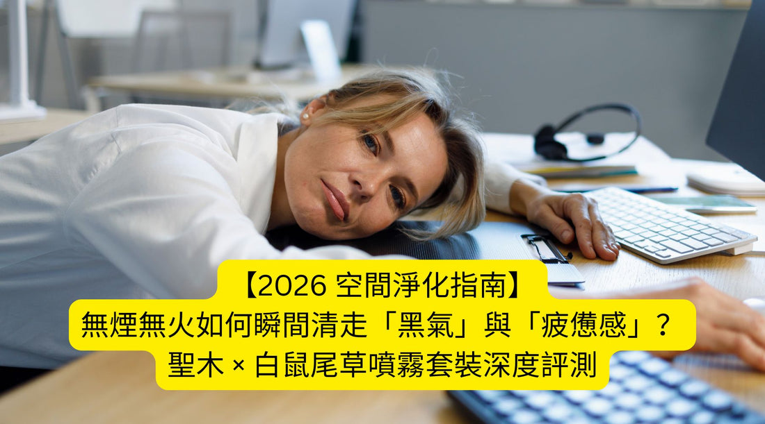 【2026 空間淨化指南】無煙無火如何瞬間清走「黑氣」與「疲憊感」？聖木 × 白鼠尾草噴霧套裝深度評測