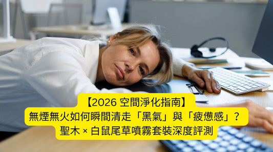 【2026 空間淨化指南】無煙無火如何瞬間清走「黑氣」與「疲憊感」？聖木 × 白鼠尾草噴霧套裝深度評測