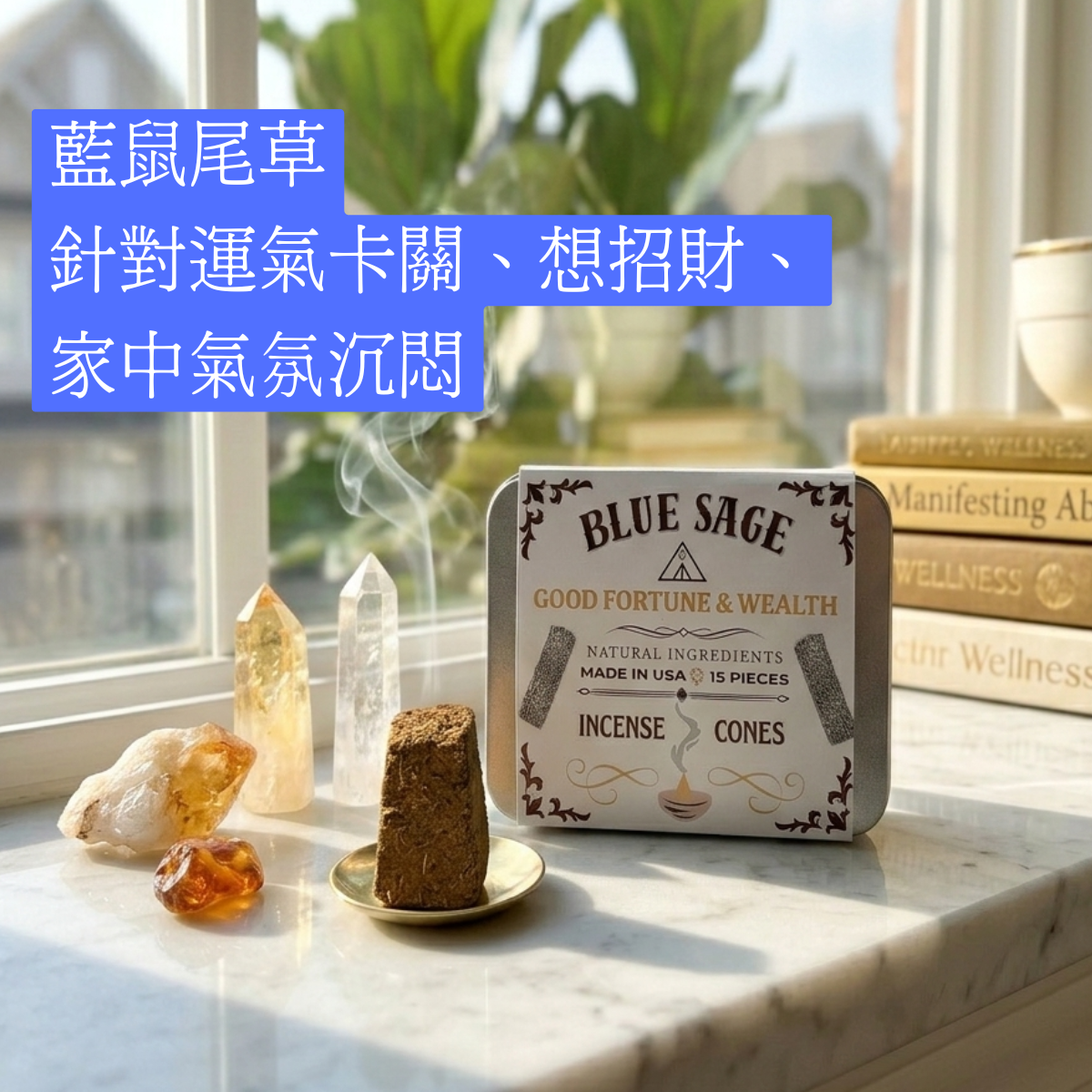 White Sage/Blue Sage/Pine Incense Cones