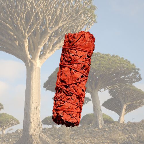 Dragon Blood White Sage Smudge Stick
