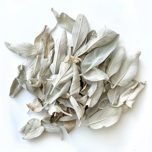 white sage leaves